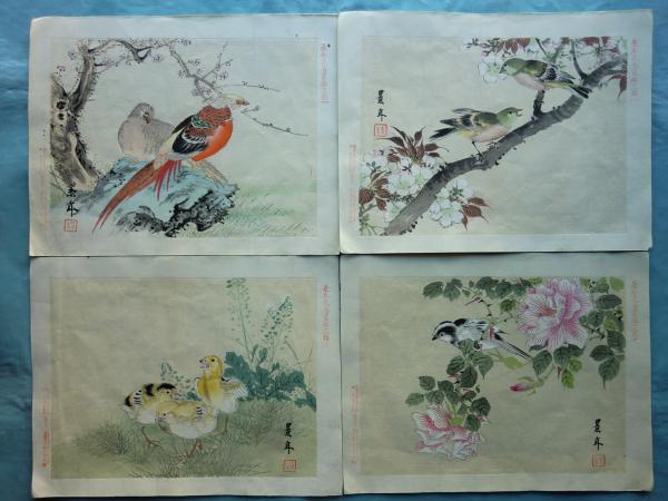 景年花鳥画鑑 全12図揃(今尾景年) / 古本、中古本、古書籍の通販