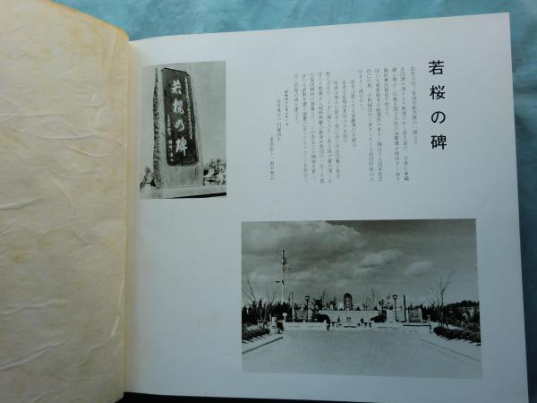 ポスター】海軍甲種飛行予科練習生徴募 海軍省 武田薬品工業株式