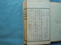 八代城志　（肥後国八代郡）