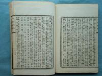 八代城志　（肥後国八代郡）