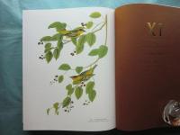 （英）オーデュボン「アメリカの鳥類」水彩原画集　合本版　Audubon 's Birds of America