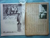 婦人グラフ　第1巻第1号