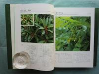 図鑑　琉球列島有用樹木誌