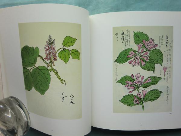 大人気新作 坂本直行スケッチ画集(坂本嵩 編) / 古本、中古本、古書籍の通販 絵画