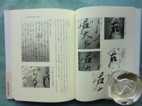 大島本源氏物語の再検討　研究叢書 396