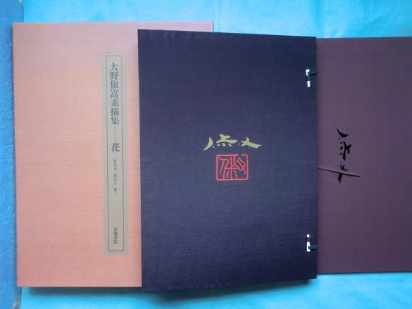 大野俶嵩描集 花 限定版 京都書院 大野俶嵩素描集 花 特装本(大野俶嵩画 河北倫明ほか序) / 古本、中古本
