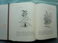 ディオスコリデスの薬物誌　全2巻揃