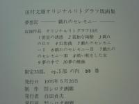 夢想記　戯れのセレモニー　田村文雄オリジナルリトグラフ版画集