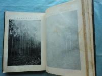 挿画 吉野林業全書　完