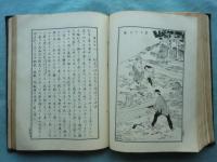 挿画 吉野林業全書　完