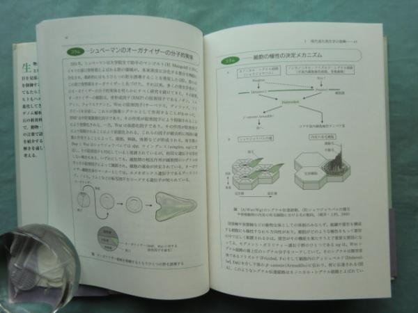 シリーズ進化学 全7巻(佐藤矩行ほか著 石川統ほか編) / 松野書店