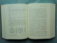 紀伊半島の文化史的研究　-考古学編-　(本文・図版・附図)