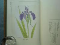 萬葉色名大鑑