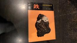 鉄 : 一塊の鉄が語る歴史の謎