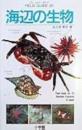 海辺の生物