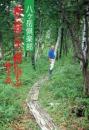 森と暮らす、森に学ぶ : 八ケ岳倶楽部