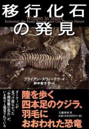 移行化石の発見