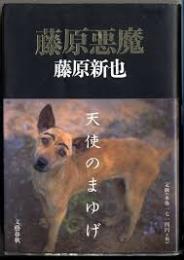 藤原悪魔