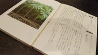 薬草事典 : 220種の栽培法・薬効・用い方