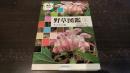 検索入門野草図鑑