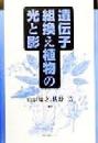 遺伝子組換え植物の光と影