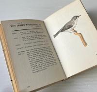 Spotting Birds. A Pocket Guide to Bird Watching. 109 Illustrations in Full Colour.
