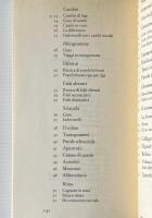 I draghi locopei: Imparare l'italiano con i giochi di parole