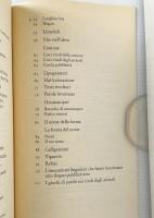 I draghi locopei: Imparare l'italiano con i giochi di parole