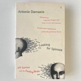 Looking for Spinoza : Joy, Sorrow and the Feeling Brain