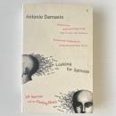Looking for Spinoza : Joy, Sorrow and the Feeling Brain