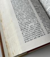唐詩大辞典