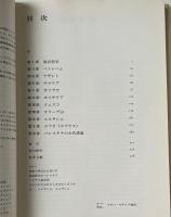 図説 新約聖書の考古学 : イエスの生涯と聖地パレスチナ