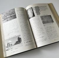 図説 新約聖書の考古学 : イエスの生涯と聖地パレスチナ