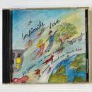 〔CD〕Gil Goldstein & Romero Lubambo / Infinite Love