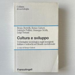 Cultura e sviluppo. Un'indagine sociologica sugli immigrati italiani e tedeschi nel Brasile meridionale