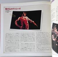 アントニオ・ガデス舞踊団　1991年日本公演プログラム