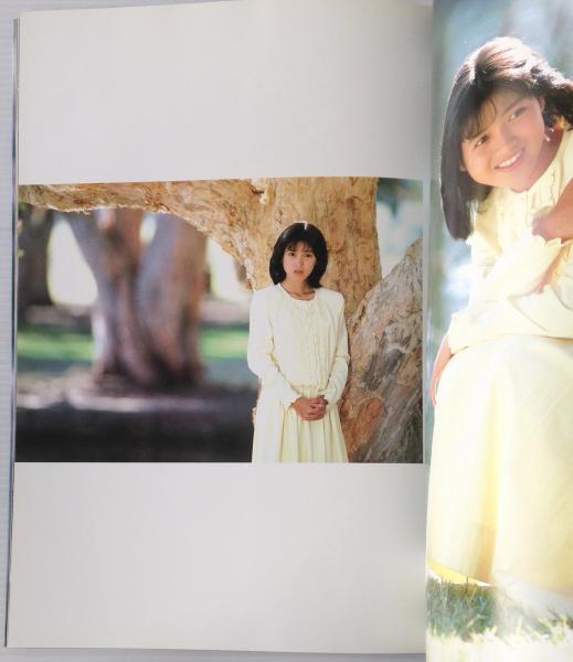 西村知美 写真集：Tomomi Dreaming / 古本、中古本、古書籍の