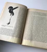 Il teatro di Verdi：La vita, le opere, gli interpreti