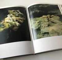 Veruschka: Transfigurations ヴェルーシュカ 変容