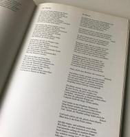 Wolluestig saugend an das Grauens Suesse： Bilder zu Gedichten der Droste.