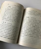 中国文学家辞典
