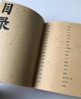 金陵小巷人物志
