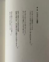 ビルガンジ通信