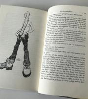 Mauve gloves & madmen, clutter & vine, and other stories, sketches, and essays