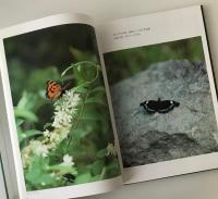 蝶からのメッセージ : フィールド写真集