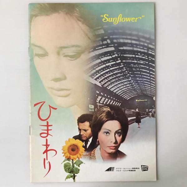 映画パンフレット ひまわり / リブロス・ムンド / 古本、中古本、古