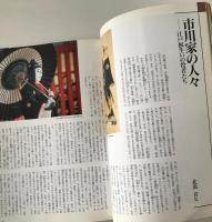 歌舞伎入門 : 鑑賞へのいざない