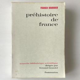 Préhistoire de France