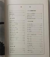 原子力の発展
