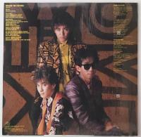 〔12”Single〕TM NETWORK／DRAGON THE FESTIVAL